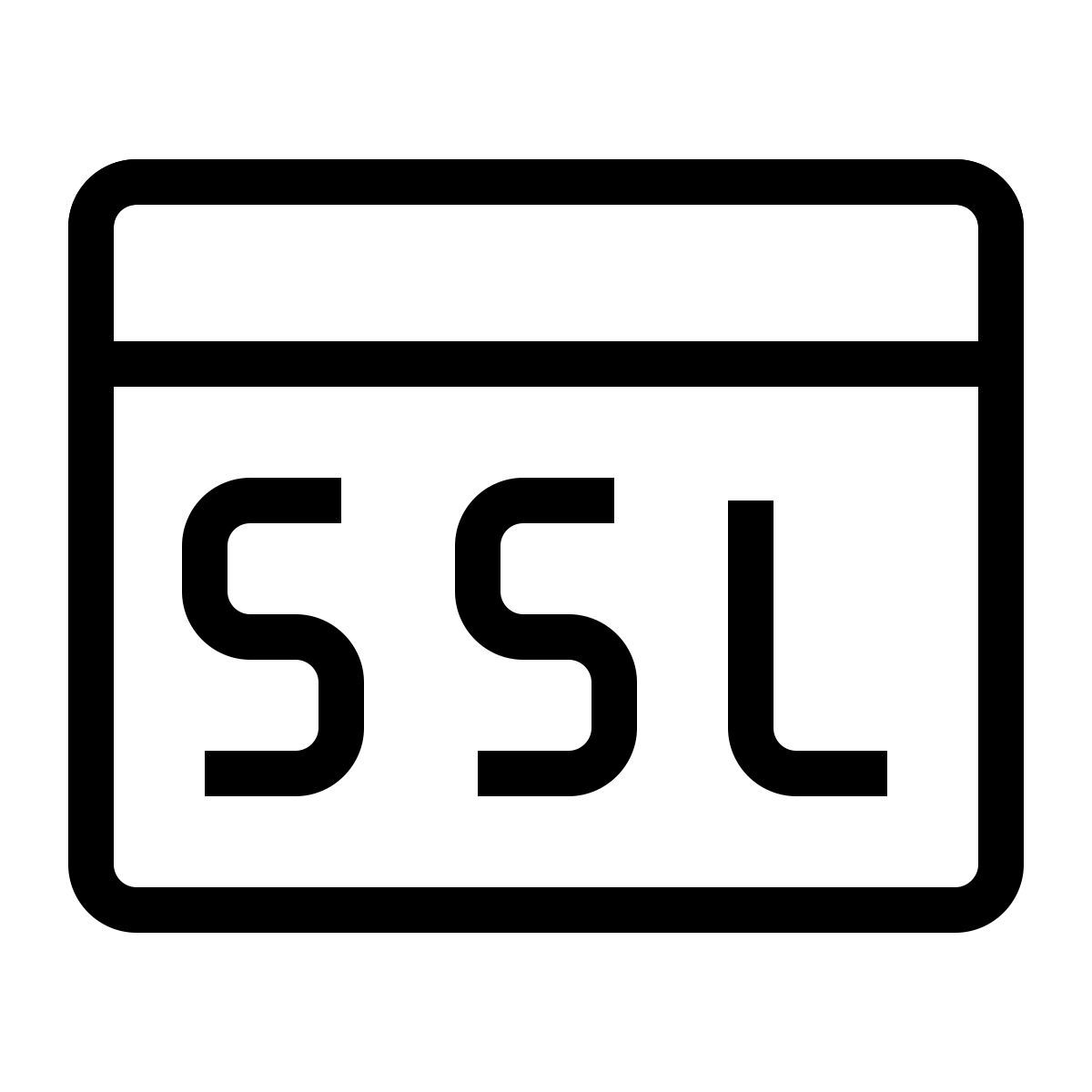 ssl icon