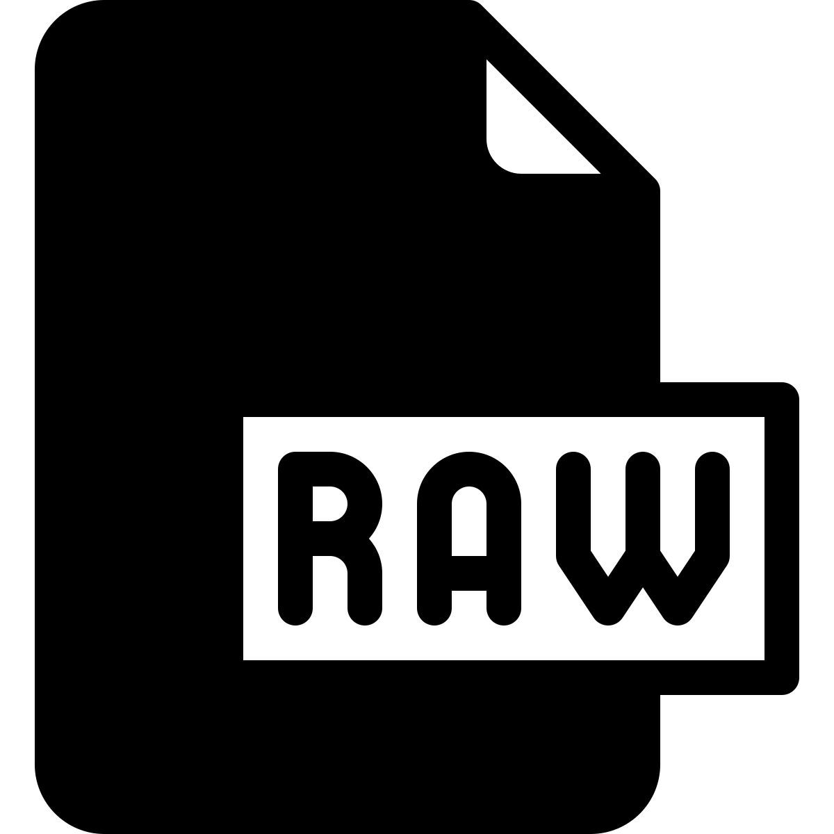 raw file icon