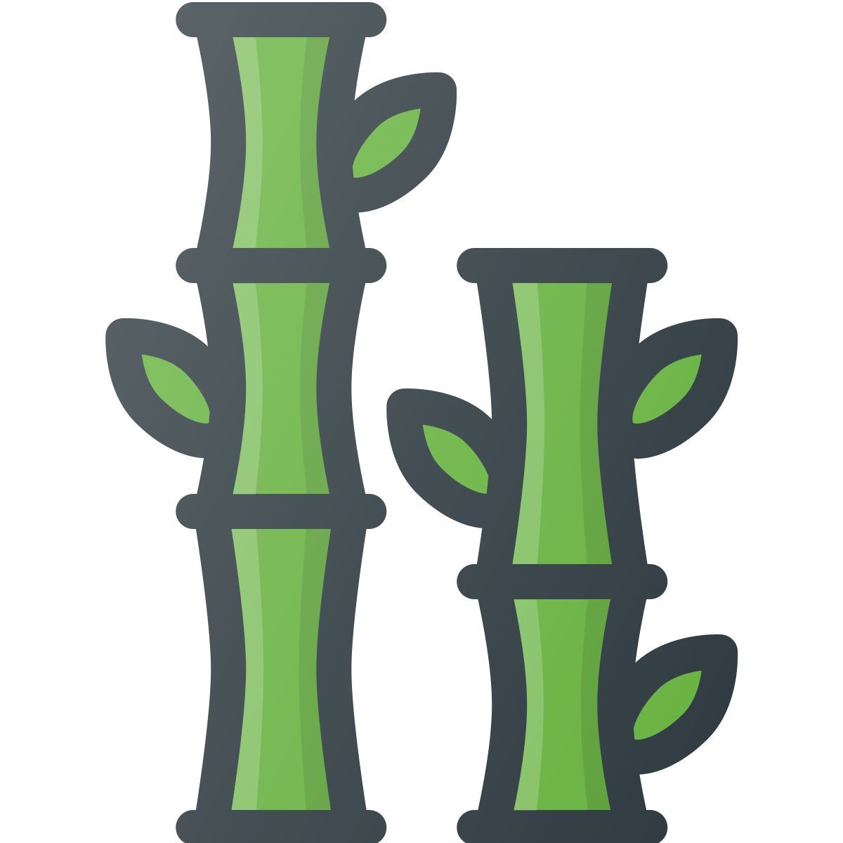 bambù icon