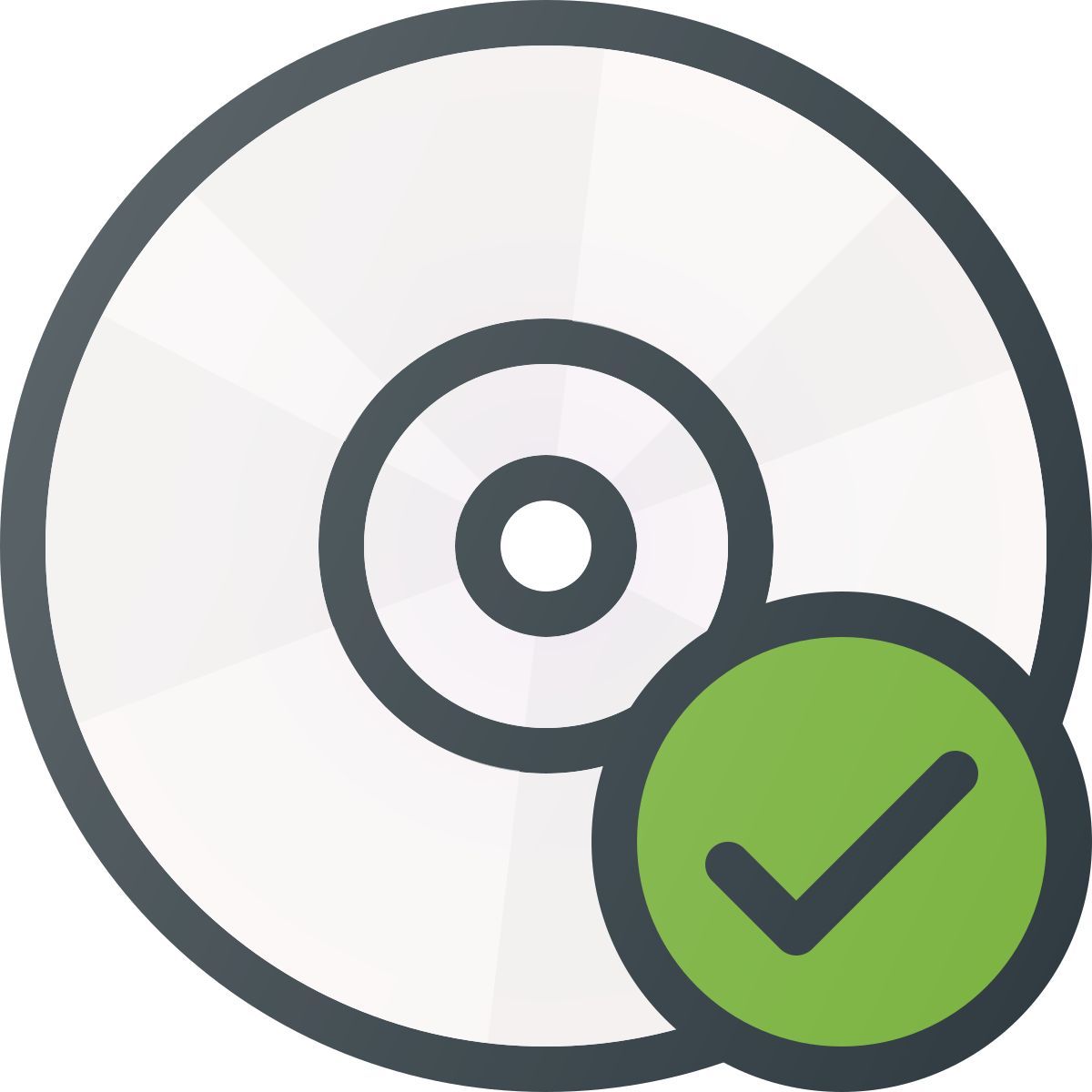 disque vérifié icon