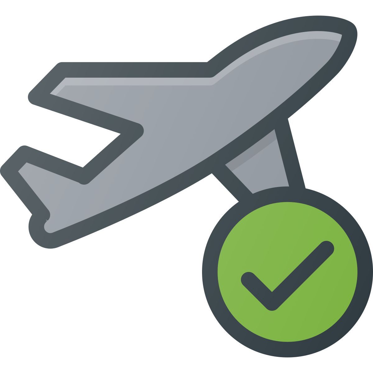 check plane icon