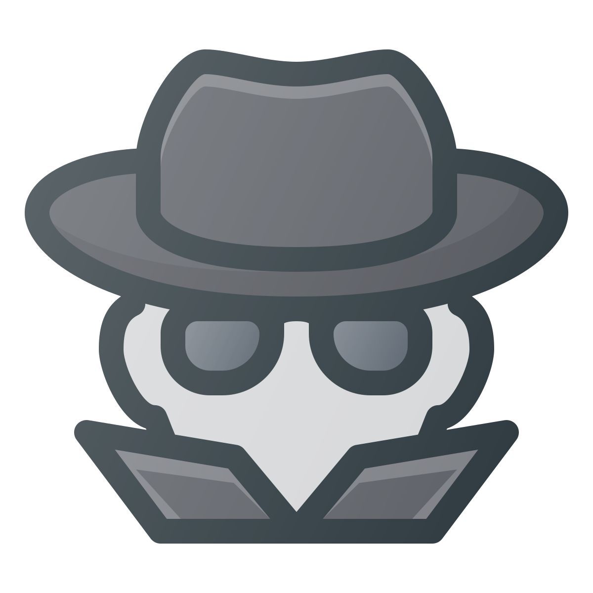 pirate informatique icon