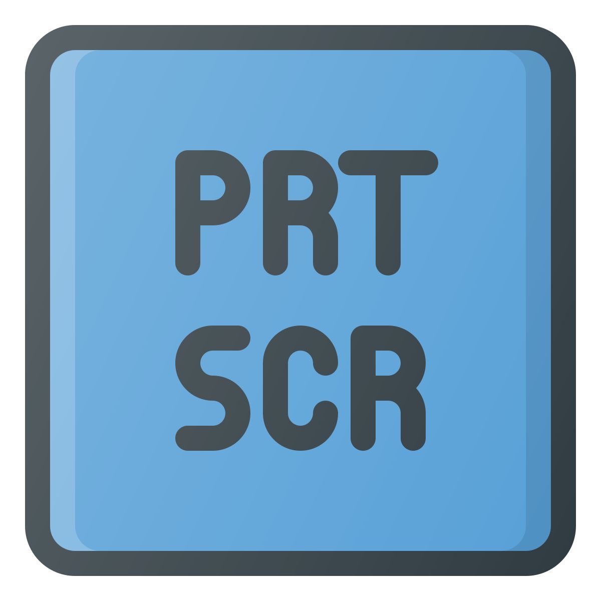 prt scr icon