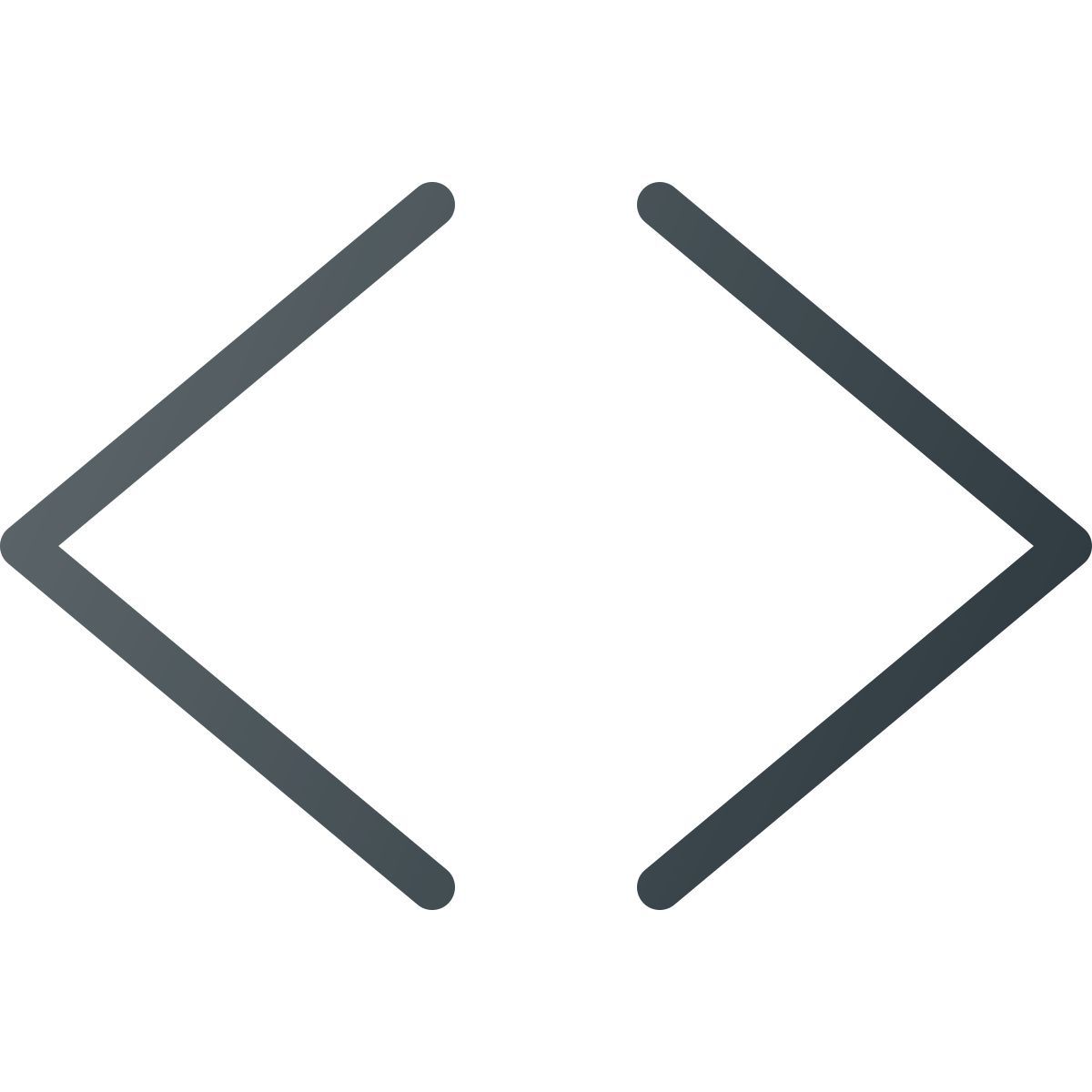 code source icon