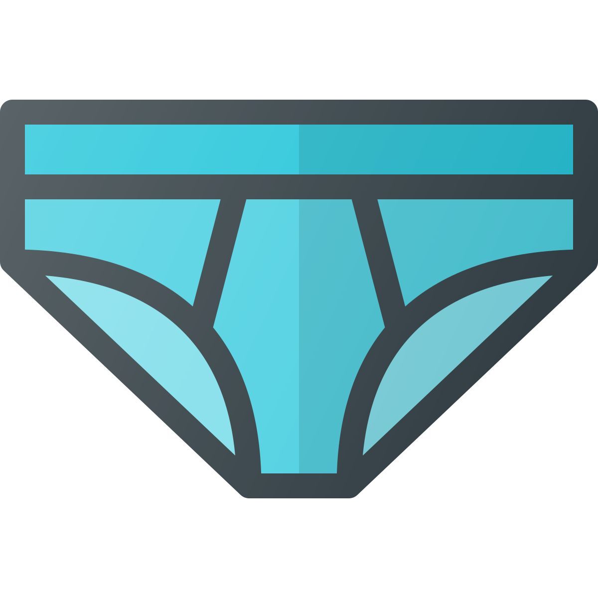 underwear icon
