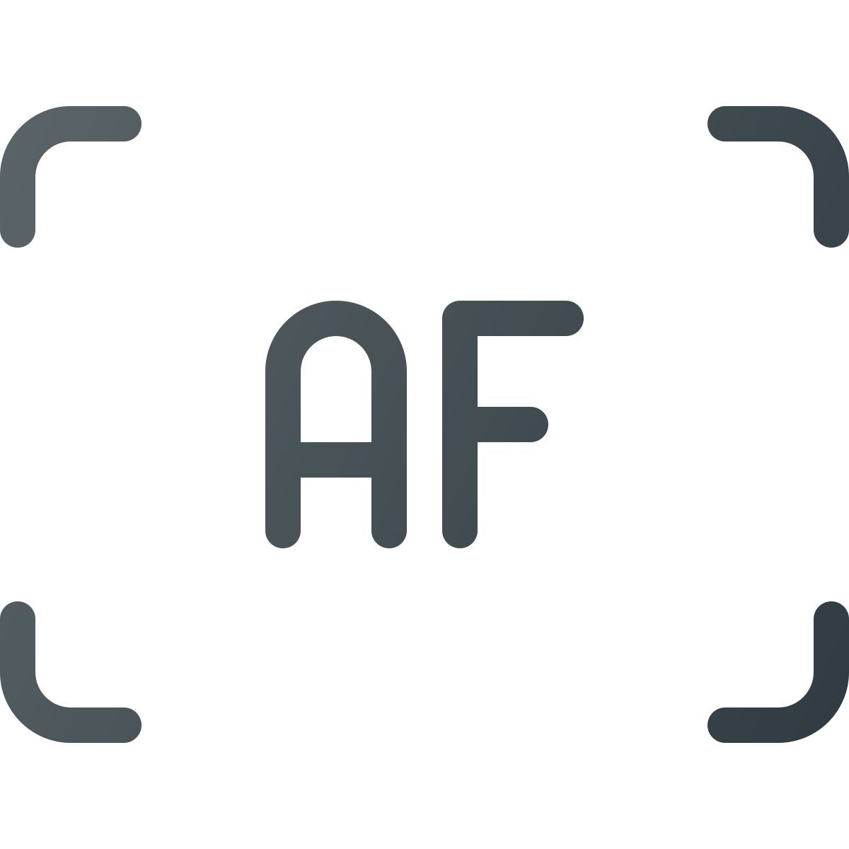 auto focus icon