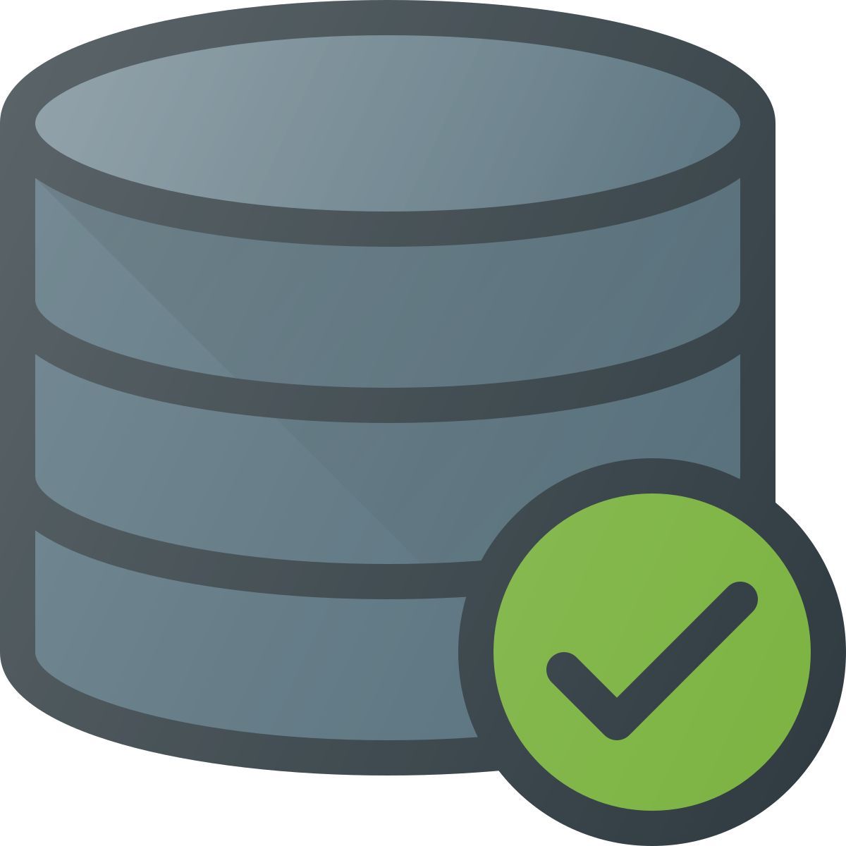 checked database icon