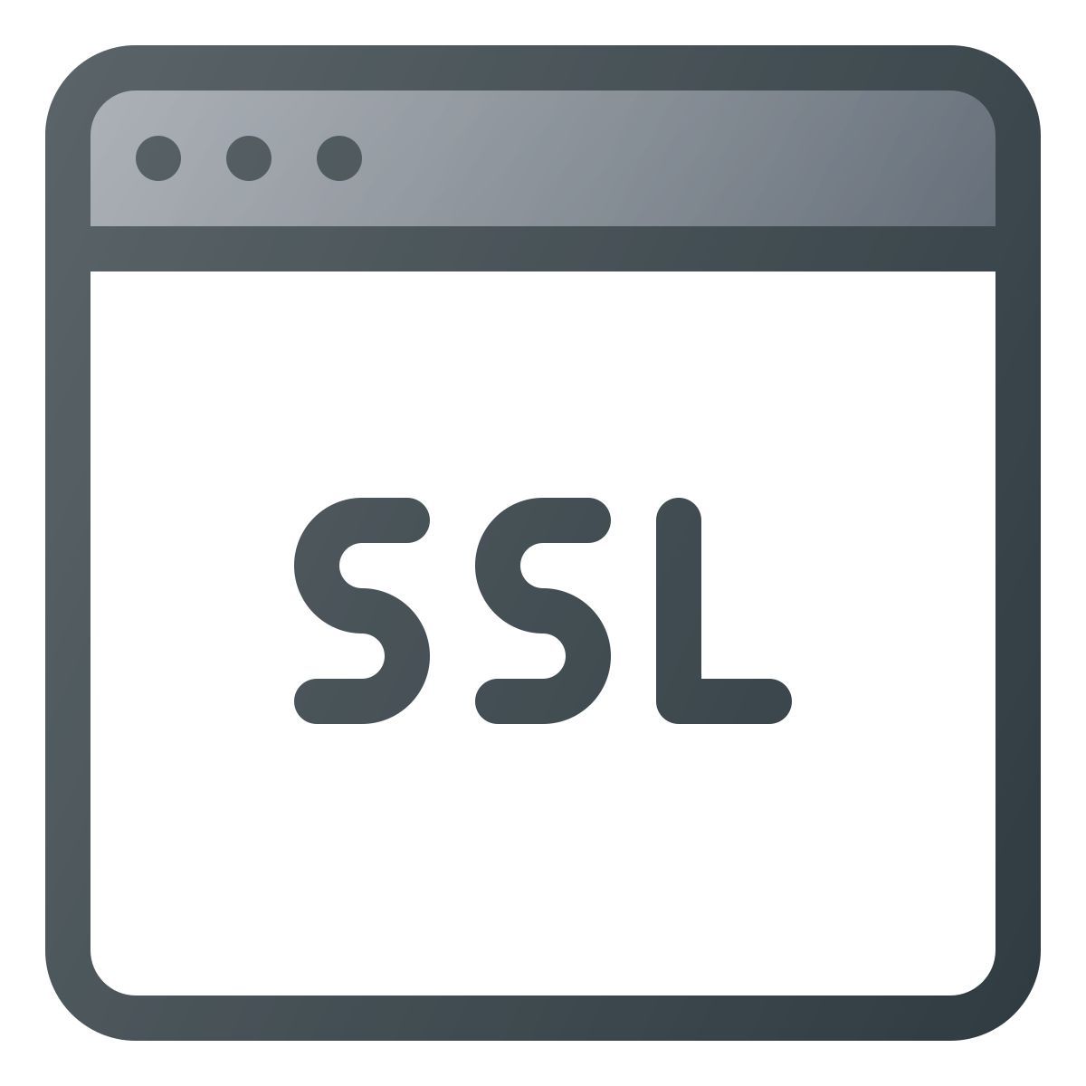 ssl icon