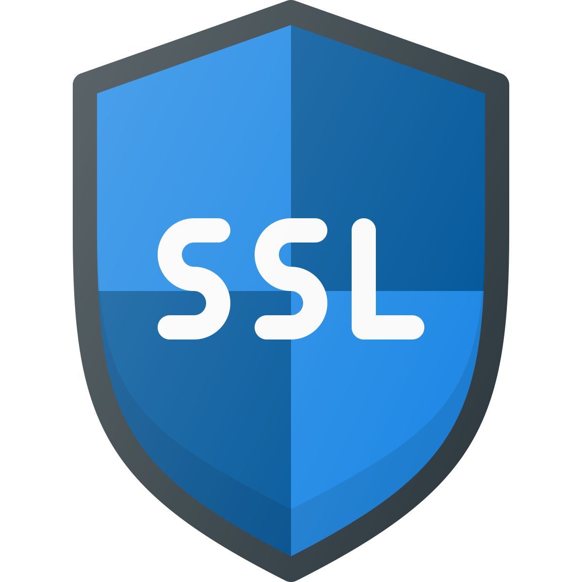 ssl icon