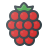 external Raspberry-fruits-and-vegetables-those-icons-lineal-color-those-icons icon
