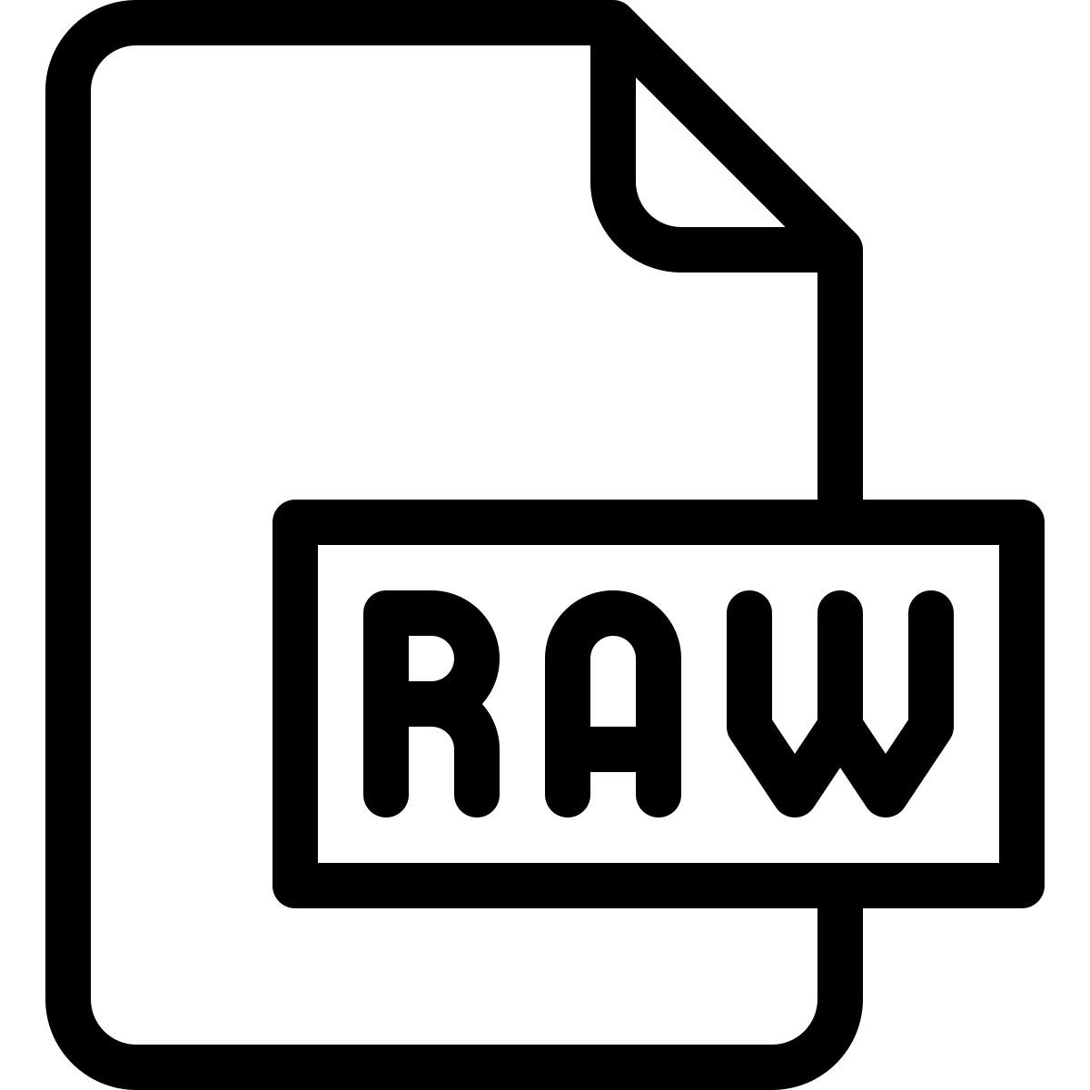raw icon