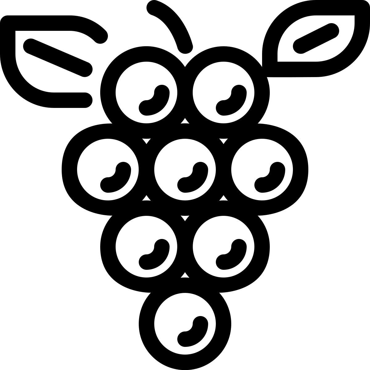grapes icon