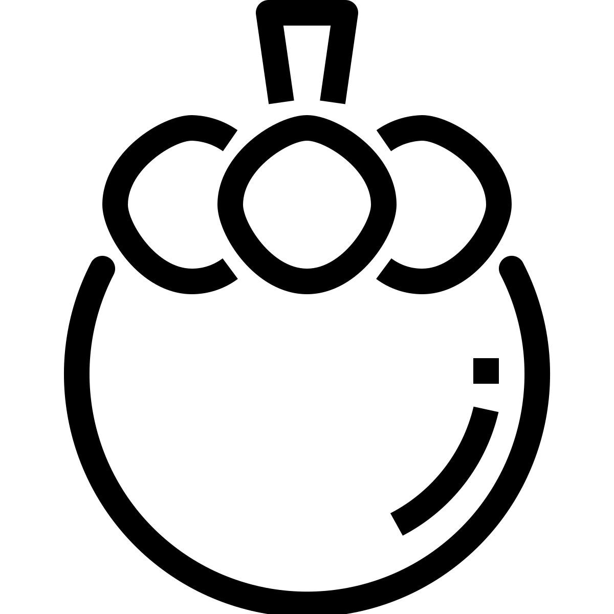 mangosteen icon
