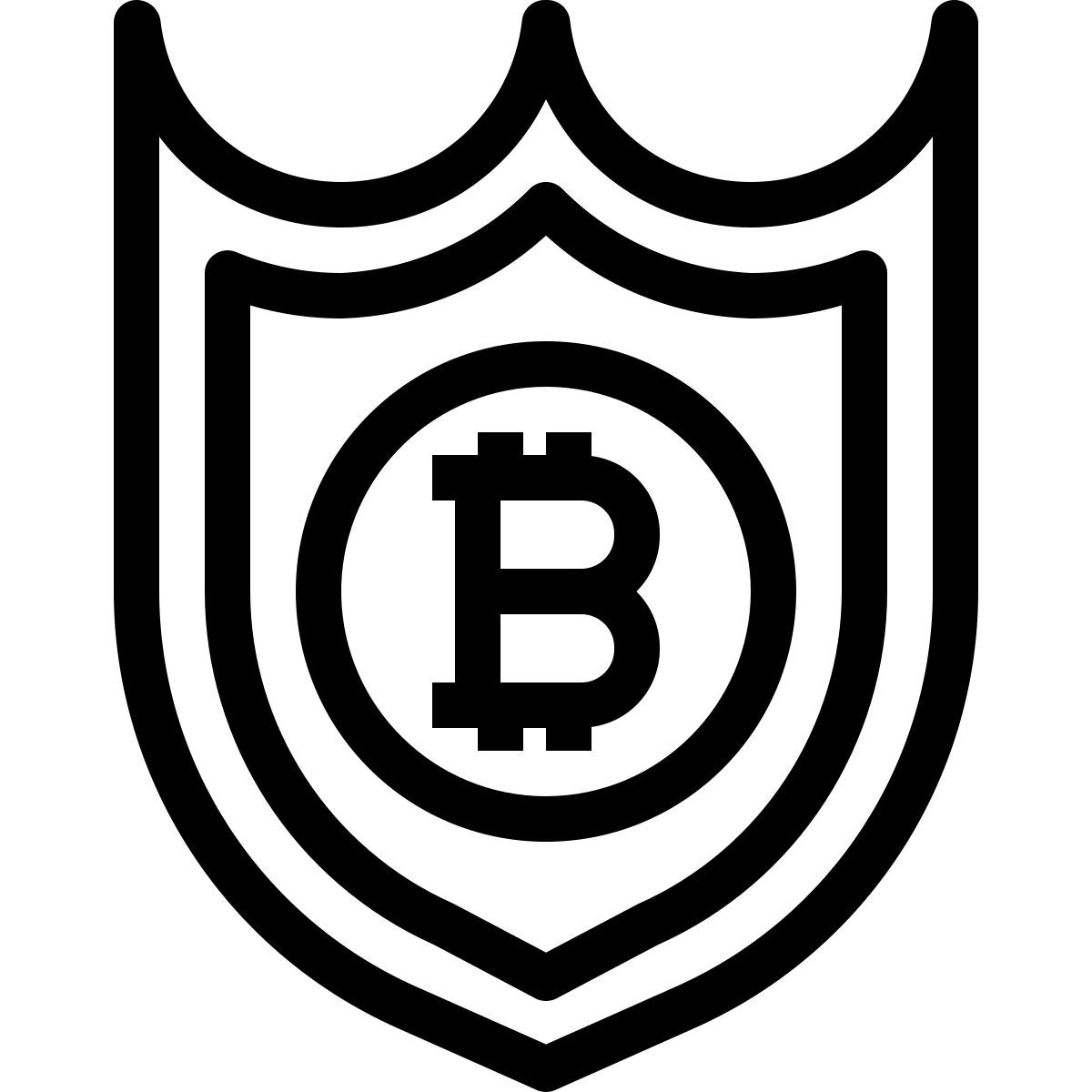protect icon
