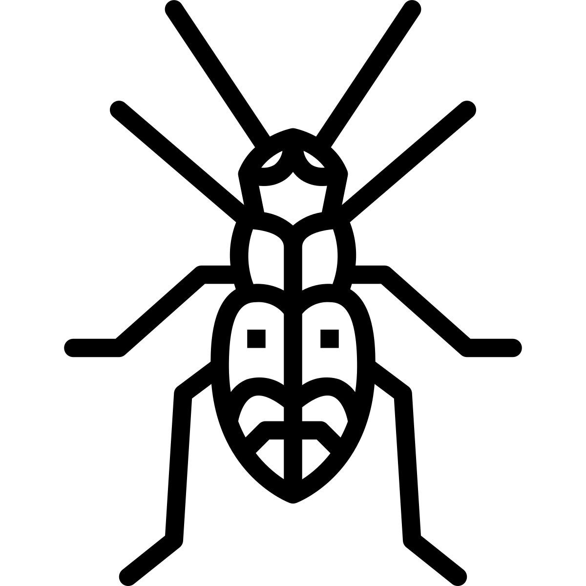 beetle icon