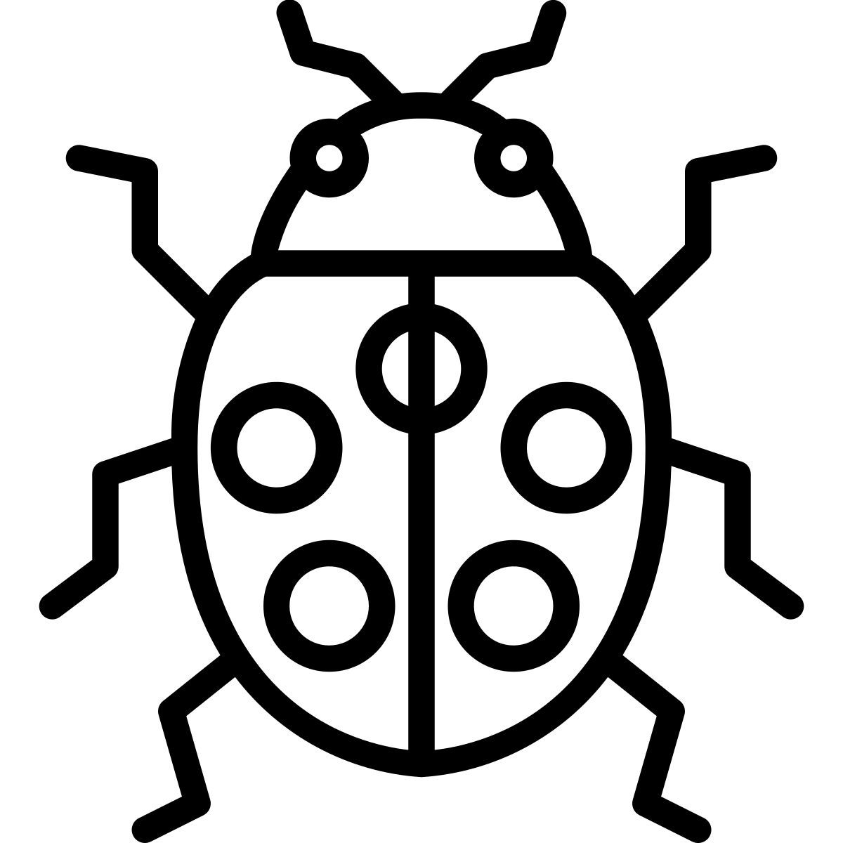 ladybug icon