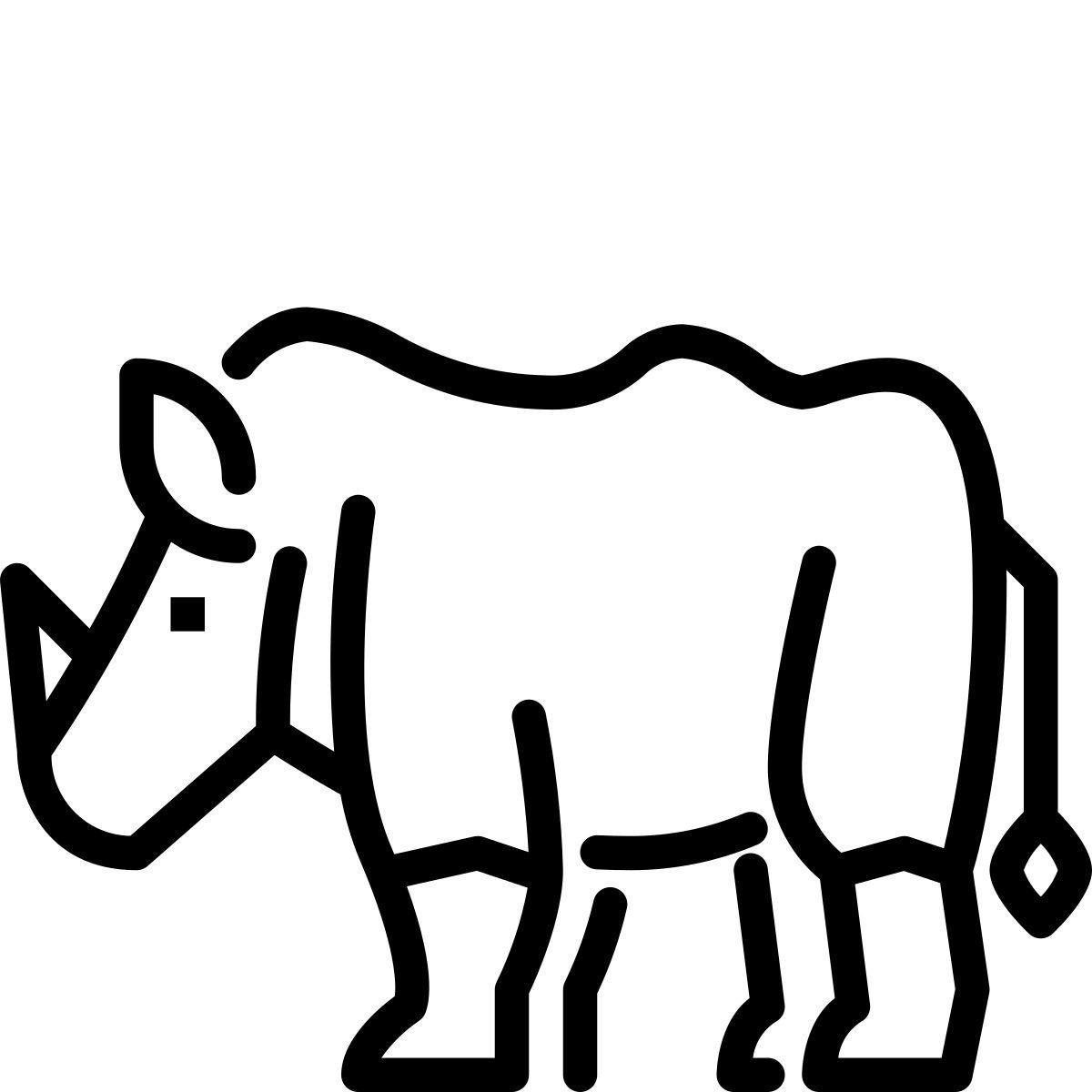 rhino icon
