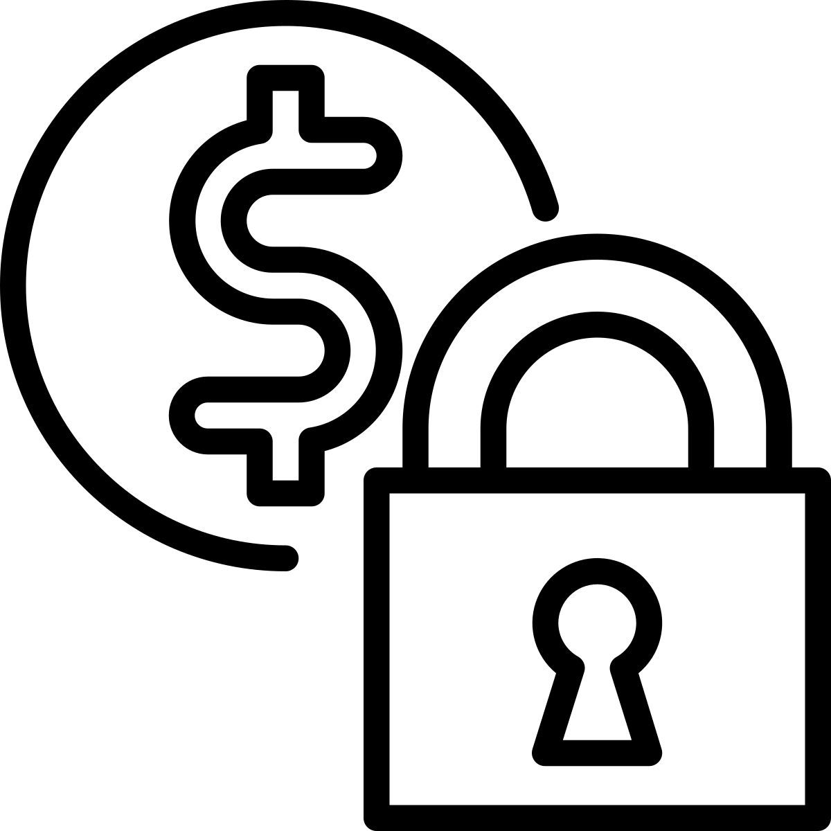 control de seguridad icon