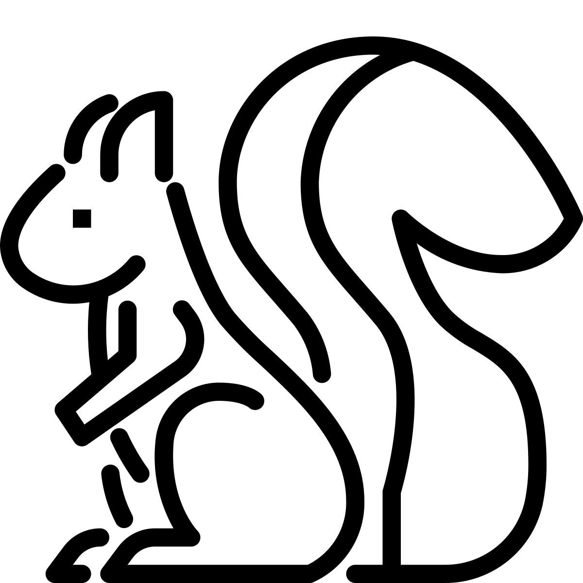 ardilla icon