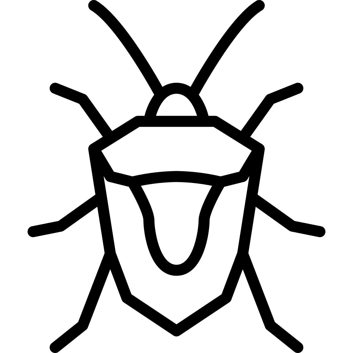 stink bug icon