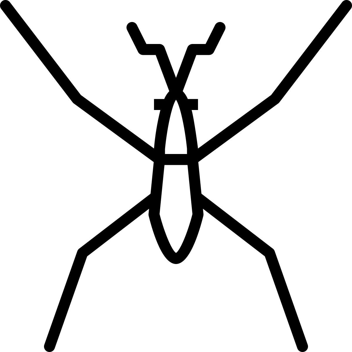 water bug icon