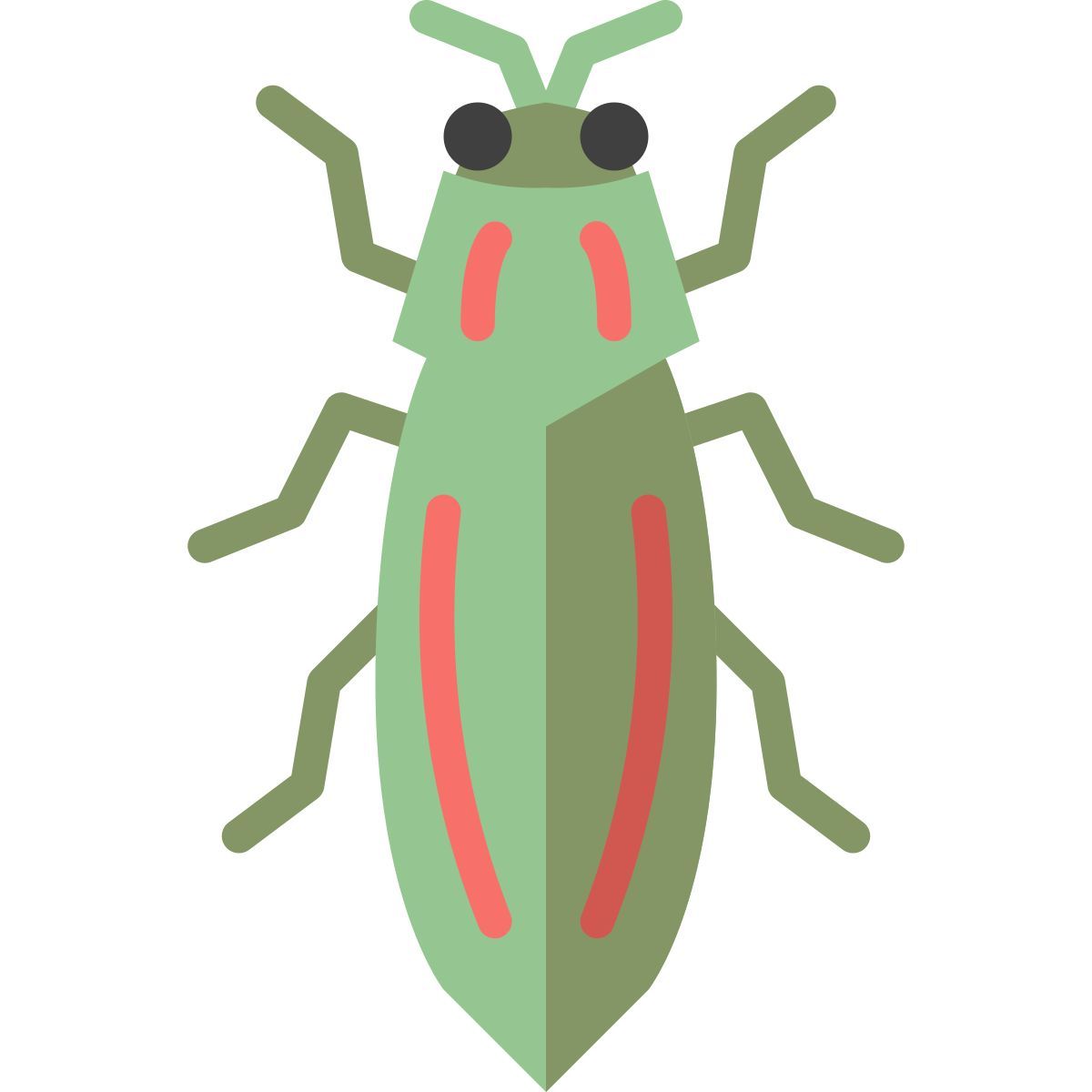 beetle icon