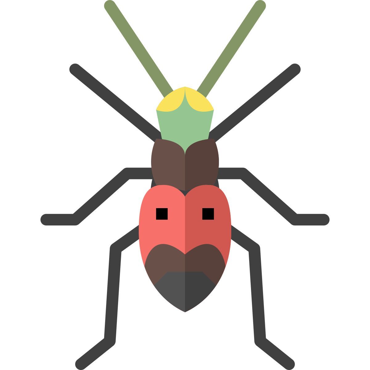 beetle icon