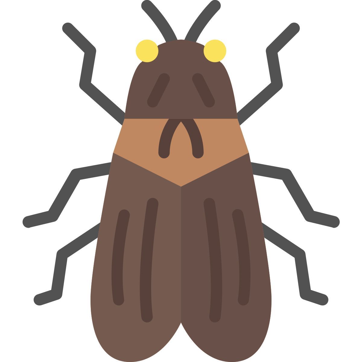 cicada icon