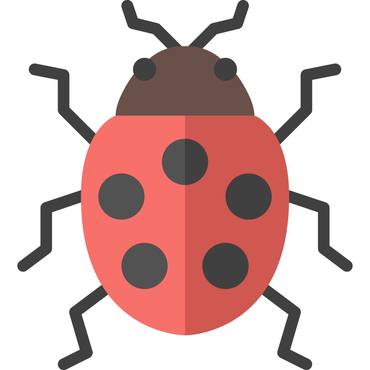 ladybug icon