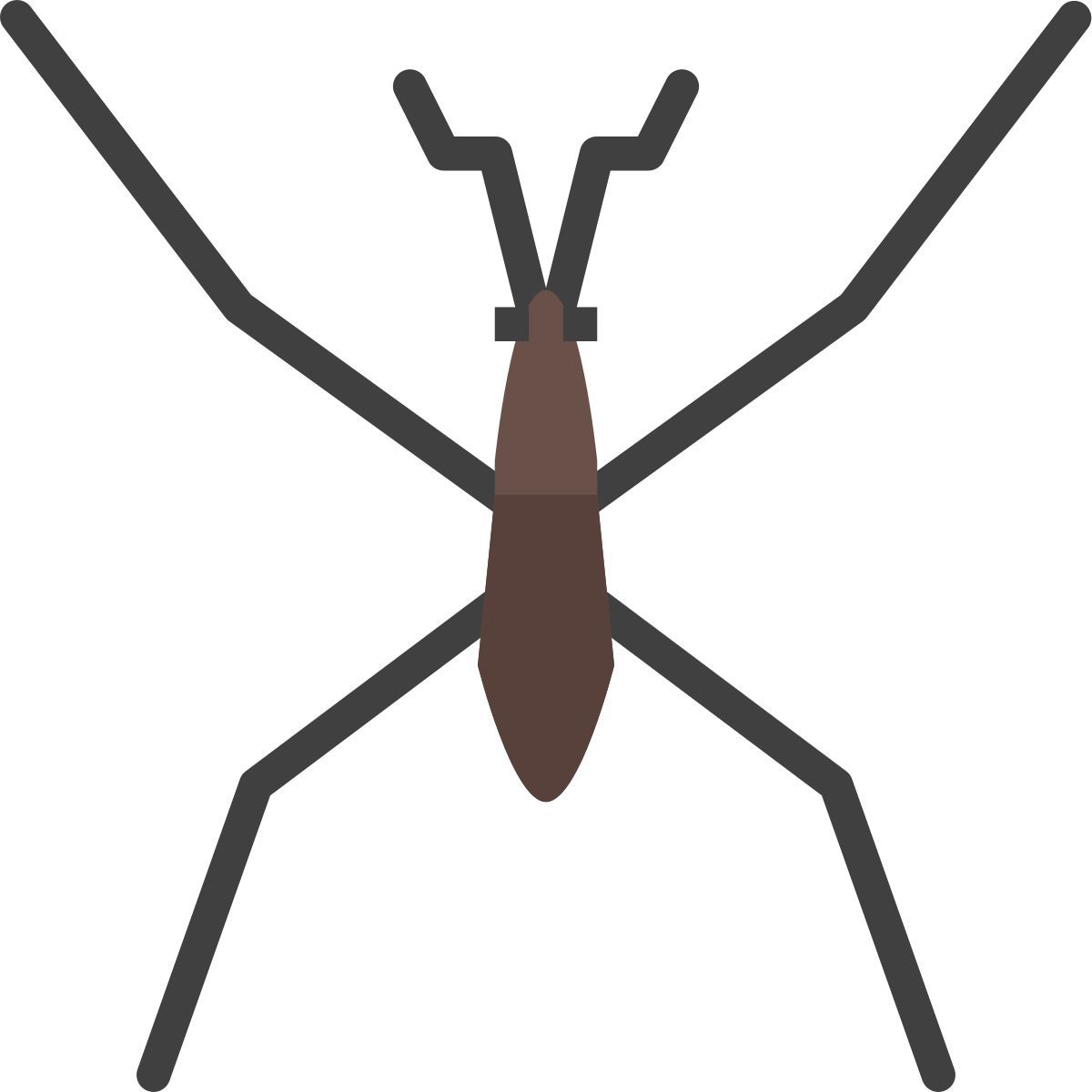 water bug icon