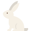 external rabbit-wild-animals-tulpahn-flat-tulpahn icon
