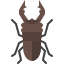 external stag-beetle-insect-tulpahn-flat-tulpahn icon