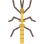 external walking-stick-insect-tulpahn-flat-tulpahn icon