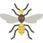 external wasp-insect-tulpahn-flat-tulpahn icon