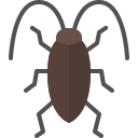 external cockroach-insect-tulpahn-flat-tulpahn icon