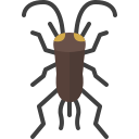 external cricket-insect-tulpahn-flat-tulpahn icon