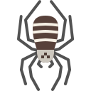 external spider-insect-tulpahn-flat-tulpahn icon