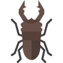 external stag-beetle-insect-tulpahn-flat-tulpahn icon