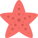 external starfish-summer-tulpahn-flat-tulpahn icon