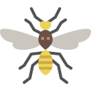 external wasp-insect-tulpahn-flat-tulpahn icon
