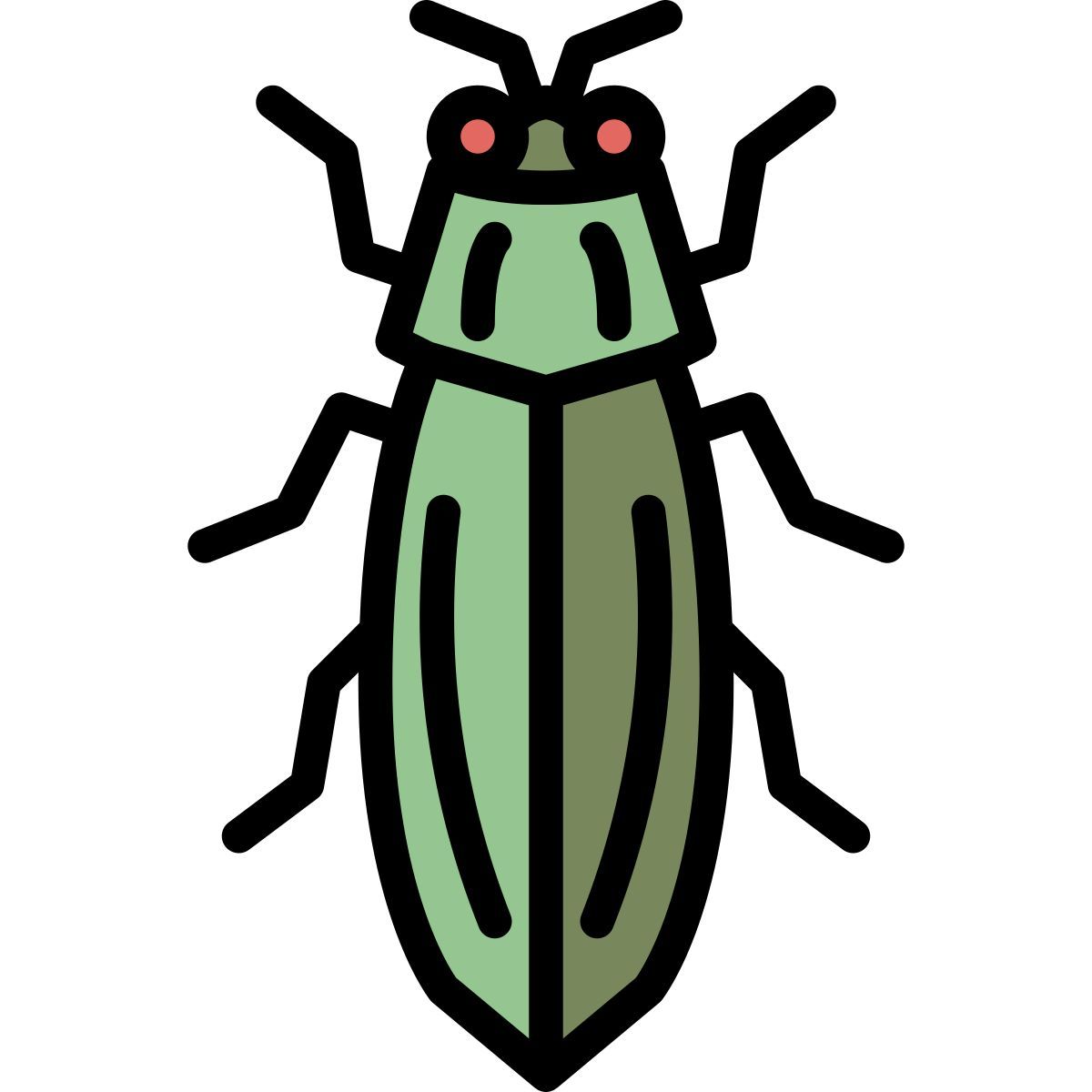 beetle icon