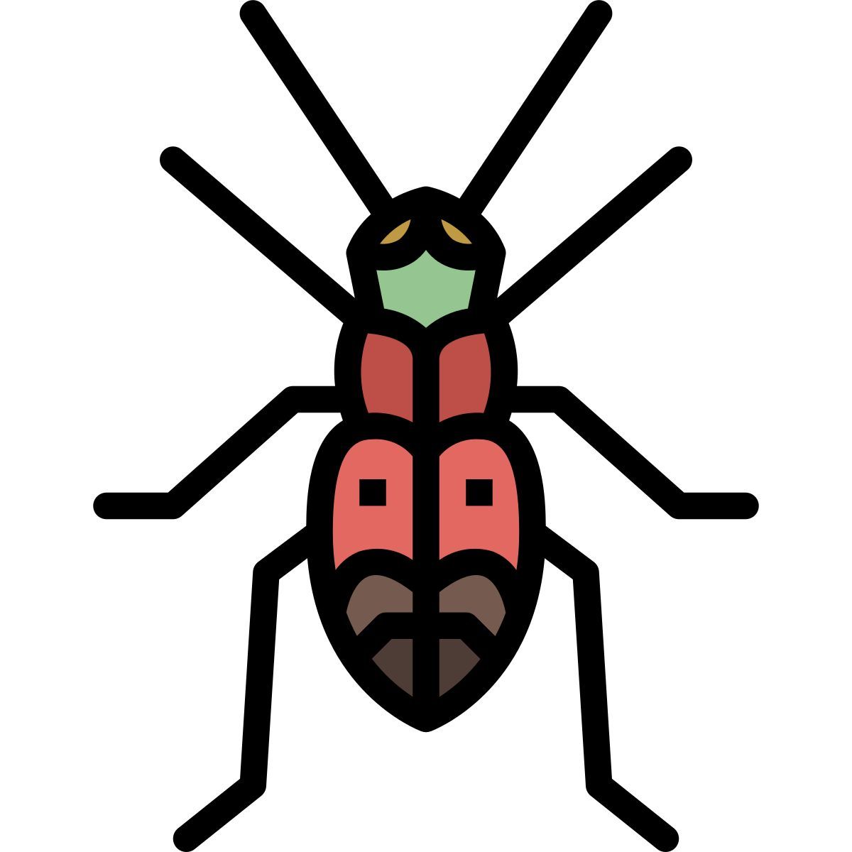 beetle icon