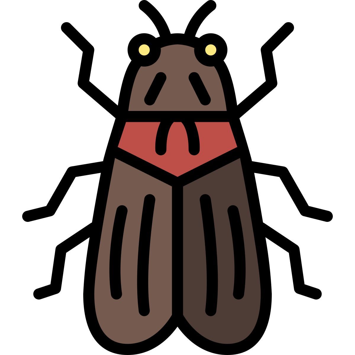 Cicala icon