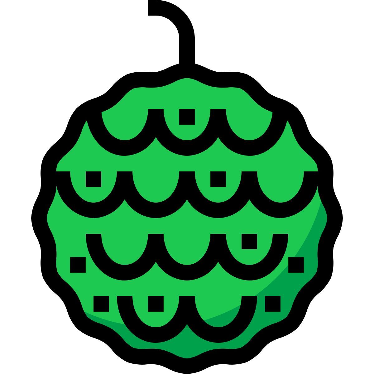 custard apple icon