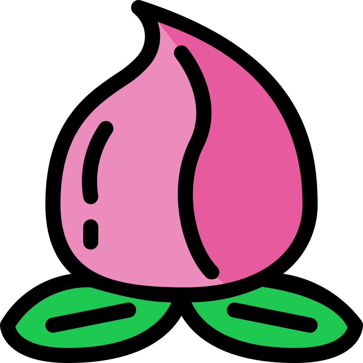 peaches icon
