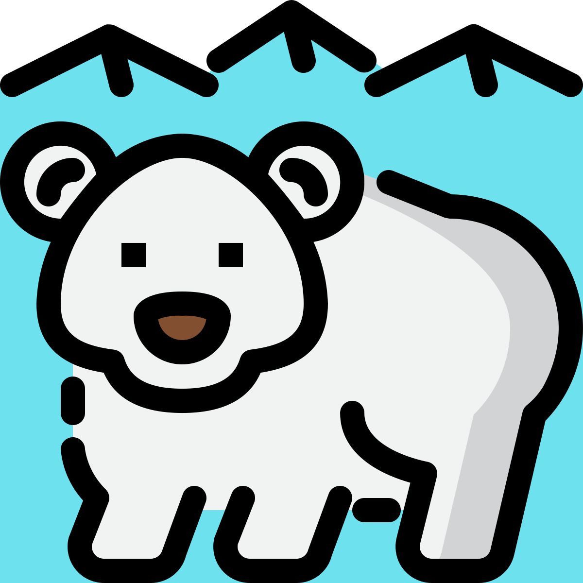 orso polare icon