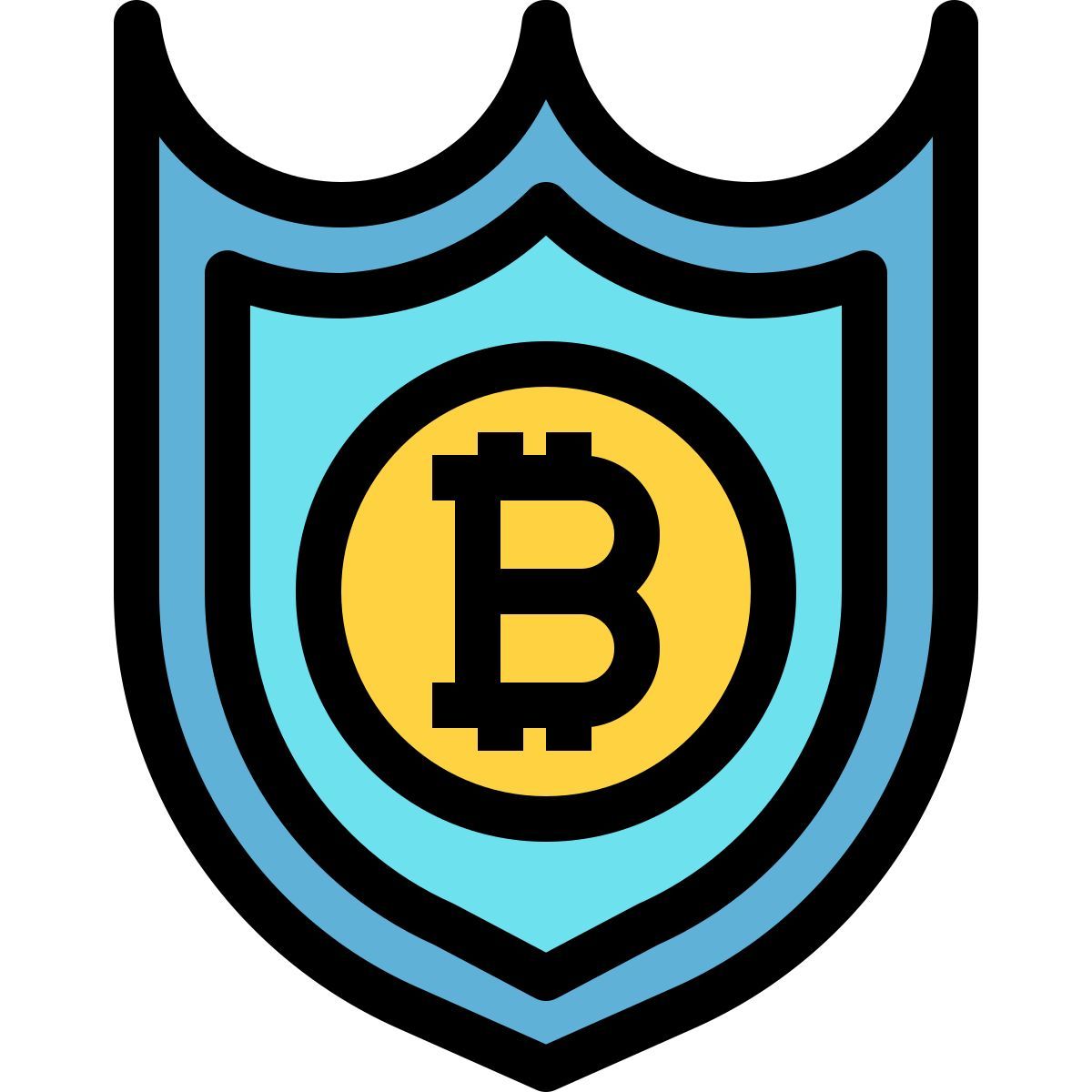 protect icon