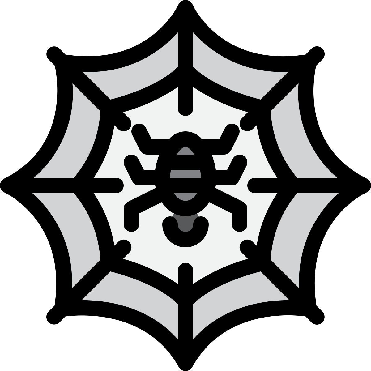 Spinnennetz icon