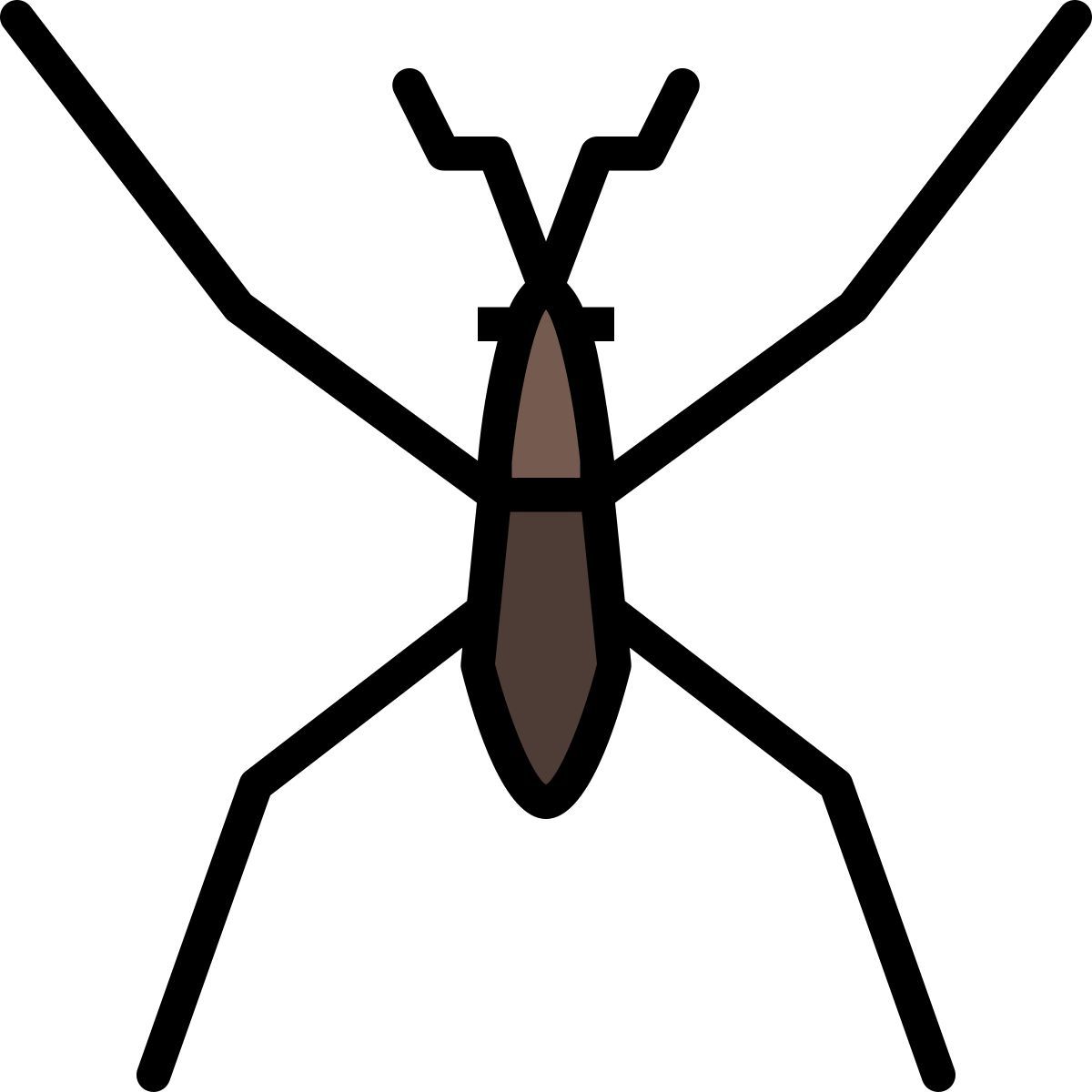 water bug icon
