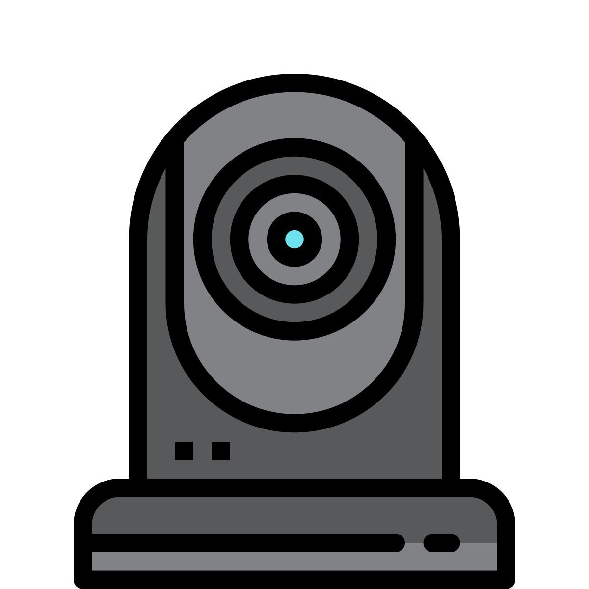 webcam icon